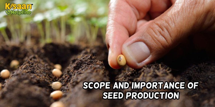 SCOPE AND IMPORTANCE OF SEED PRODUCTION SCOPE AND IMPORTANCE OF SEED PRODUCTION